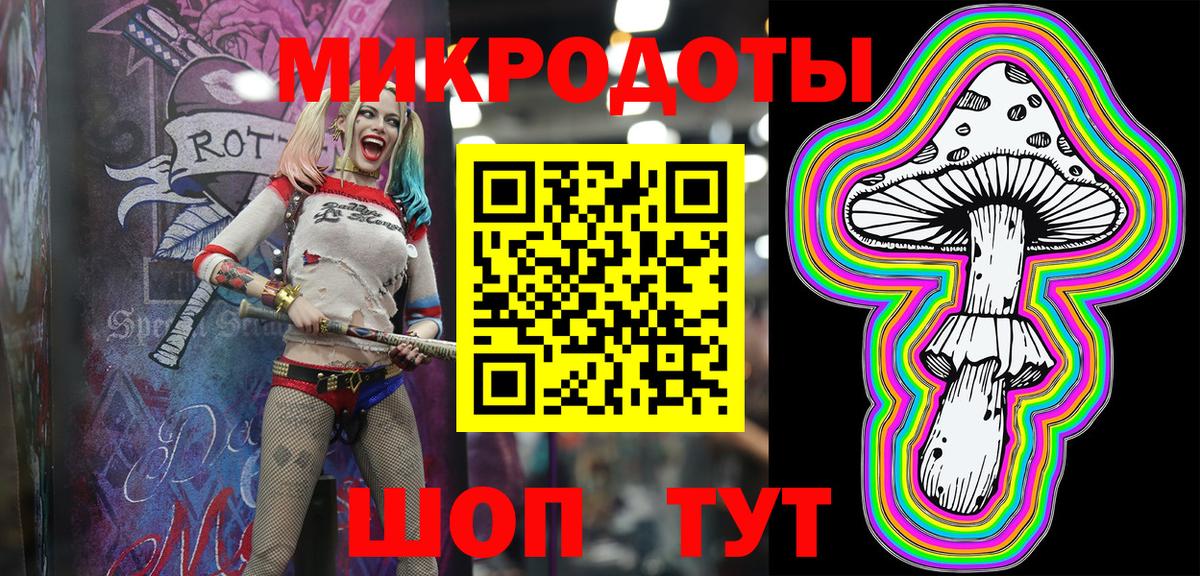 Псилоцибиновые грибы Psilocybe Кировск