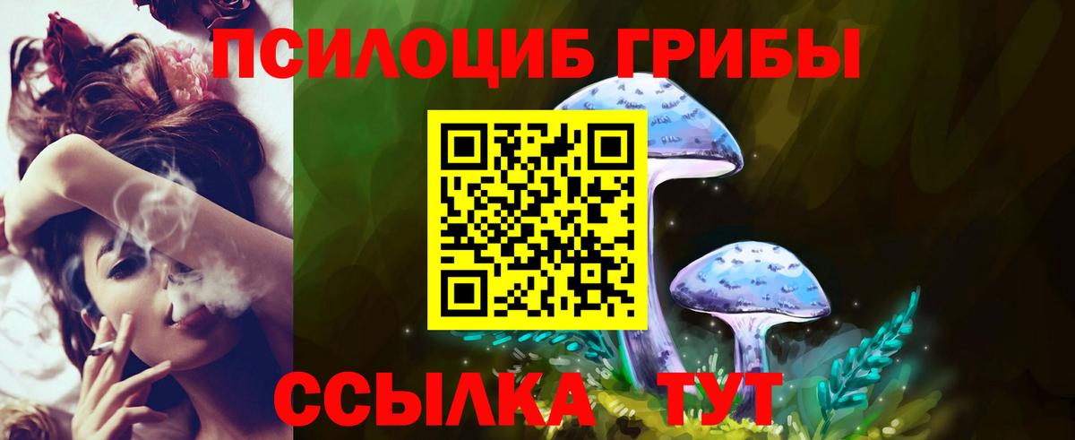 хочу наркоту  Галлюциногенные грибы Magic Shrooms  Вход с VPN  Кировск  Галлюциногенные грибы GOLDEN TEACHER 